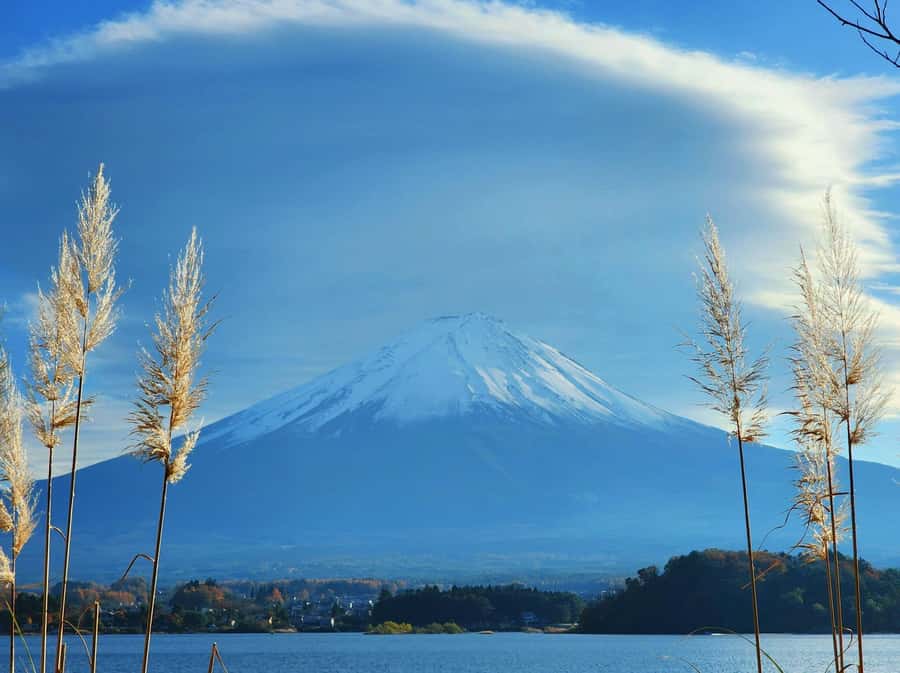 From Tokyo: Mount Fuji Full-Day Private Tour (Customizable) - What the drivers add to the experience