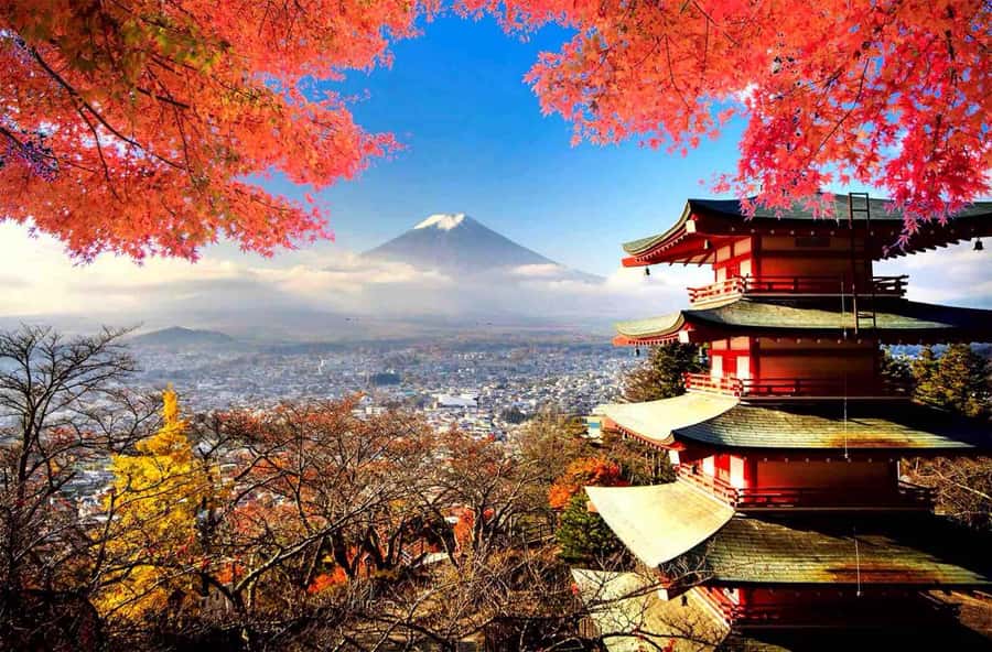 From Tokyo: Mount Fuji Full Day Private Tour English Guide - Chureito Pagoda and the Famous Fuji View