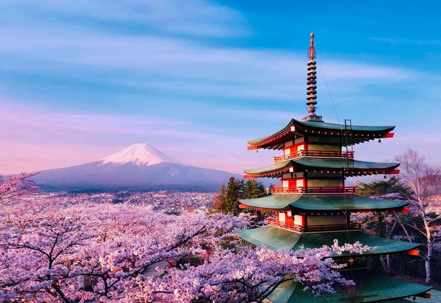 From Tokyo: Mount Fuji Full Day Private Tour English Guide - Lake Kawaguchi, Oishi Park, and Fuji from the Water’s Edge
