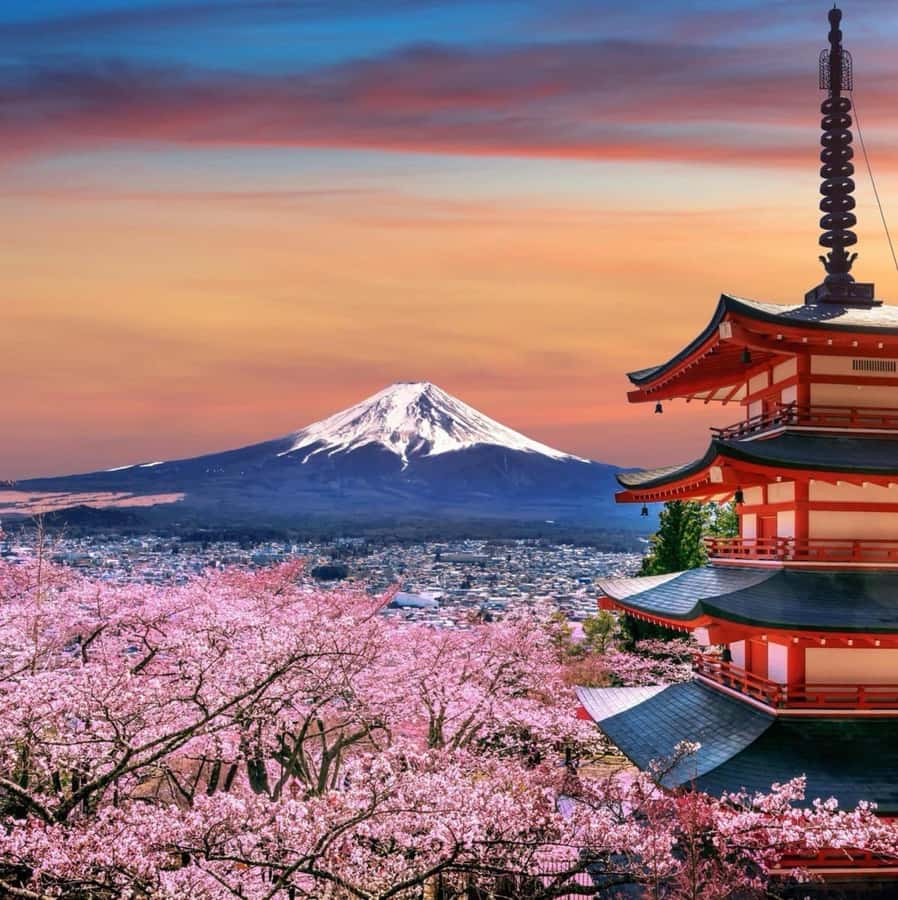 From Tokyo: Mount Fuji Full Day Private Tour English Guide - Who Gets the Best Value