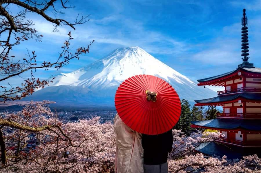 From Tokyo: Mount Fuji Full Day Private Tour English Guide - Should You Book This Mount Fuji Tour?