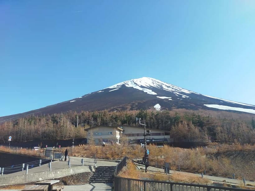 From Tokyo: Mount Fuji Full-Day Sightseeing Trip - Oshino Hakkai and Fuji’s spring water