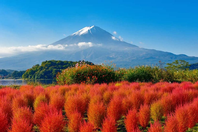 From Tokyo: Mount Fuji Full-Day Sightseeing Trip - Oishi Park and the first Lake Kawaguchi view