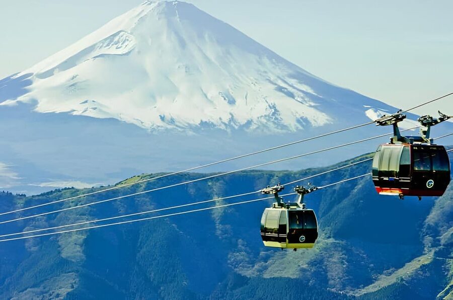 From Tokyo: Mount Fuji & Hakone Full Day Private Tour - Saiko Iyashi-no-Sato Nenba and old village life