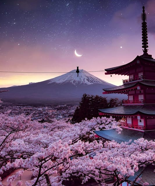From Tokyo: Mount Fuji & Hakone Full Day Private Tour - Lake Kawaguchi: choose your water or cable-car activity