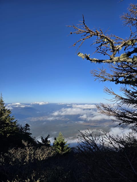 From Tokyo: Mount Fuji & Hakone Full Day Private Tour - Kitaguchi-hongu Fuji Sengen Shrine