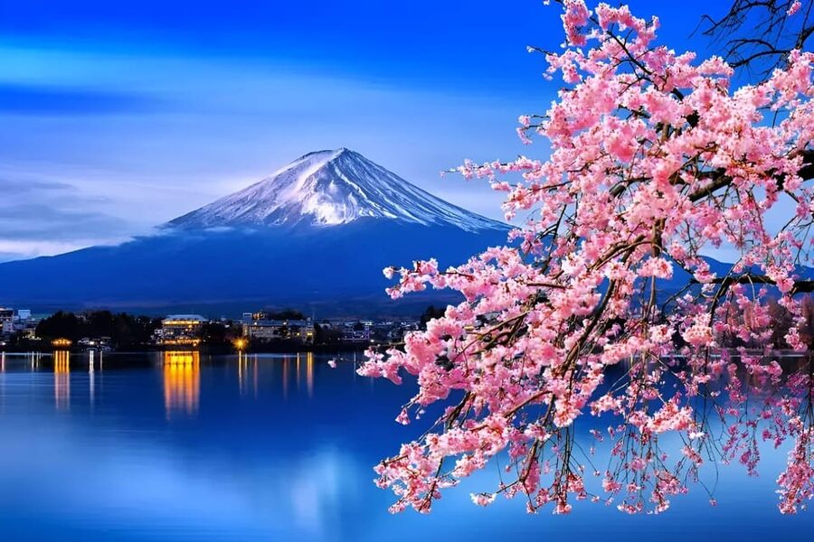 From Tokyo: Mount Fuji & Hakone Full Day Private Tour - Mount Fuji 5th Station at 2,300 metres
