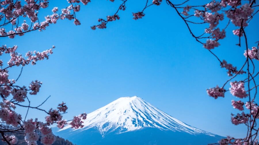 From Tokyo: Mount Fuji Private Day Tour With English Guide - The drive from Tokyo and what the private vehicle changes