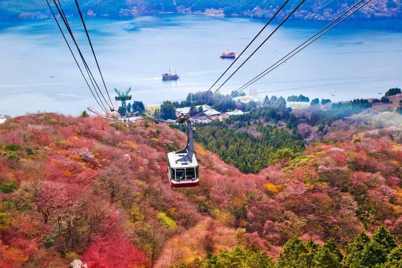 From Tokyo: Mount Fuji Private Tour With English Guide - Oshino Hakkai and Fuji’s clear spring water