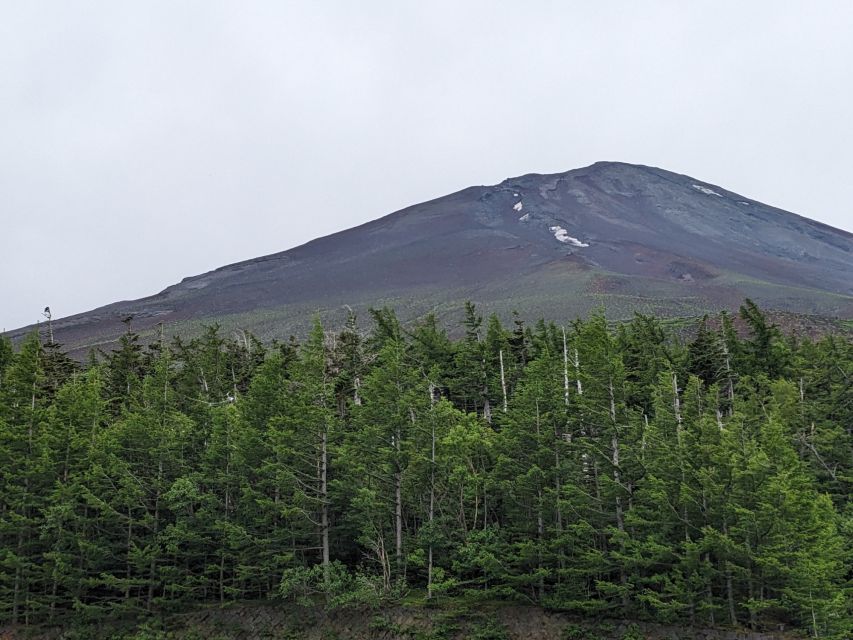 From Tokyo: Mt. Fuji & Hakone Tour w/ Return by Bullet Train - Who should book this full-day tour