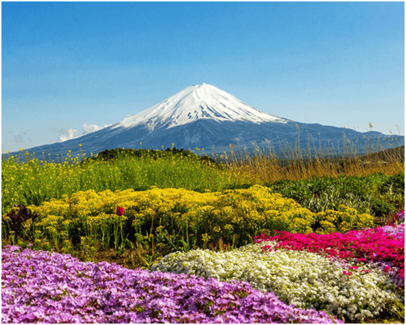 From Tokyo: Mt.Fuji, Lake Kawaguchi, Oshino Hakkai Day Tour - Hikawa Clock Shop and the walk to Arakura Shrine