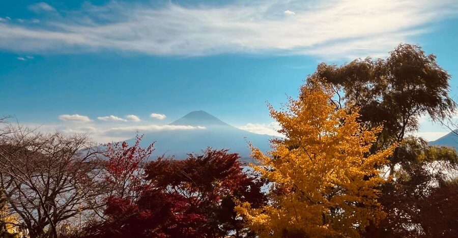 From Tokyo: Mt.Fuji, Tea Ceremony & Outlet Shopping Day Tour - Key points to know before booking