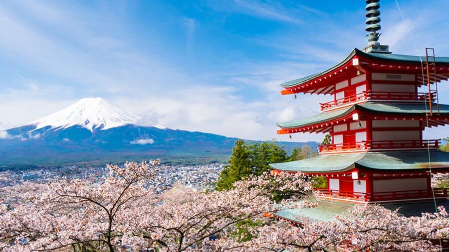 From Tokyo: Mt.Fuji, Tea Ceremony & Outlet Shopping Day Tour - The Kinohananoyu hot spring option