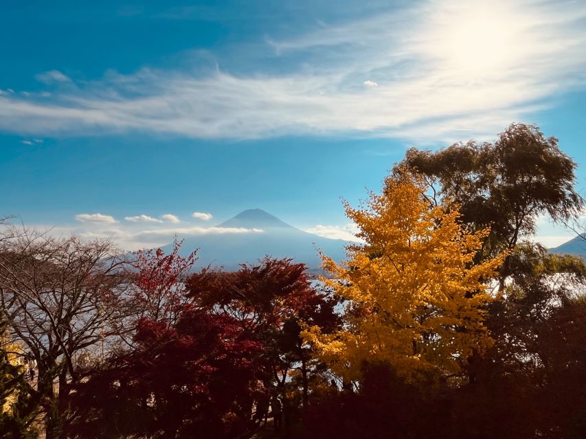 From Tokyo: Mt.Fuji, Tea Ceremony & Outlet Shopping Day Tour - Meeting in Shinjuku before the two-hour ride
