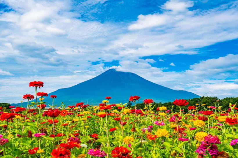 From Tokyo: Must-Visit Mount Fuji Highlight Full-Day Tour - Is $69 good value?