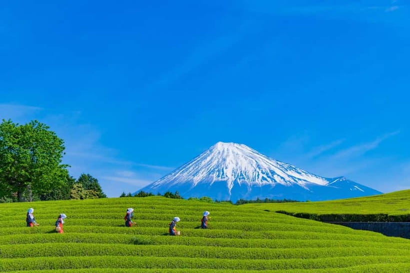 From Tokyo: Must-Visit Mount Fuji Highlight Full-Day Tour - Should you book this Mount Fuji tour?