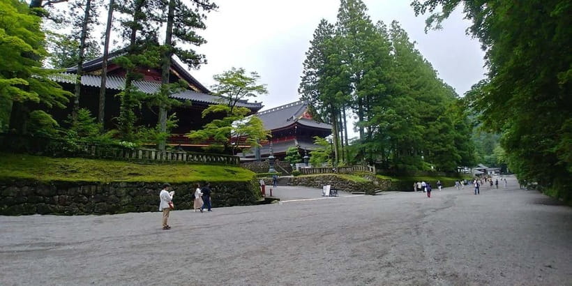 From Tokyo: Nikko Customize private Tour With English Driver - Senjogahara Field for a Walk in the Open