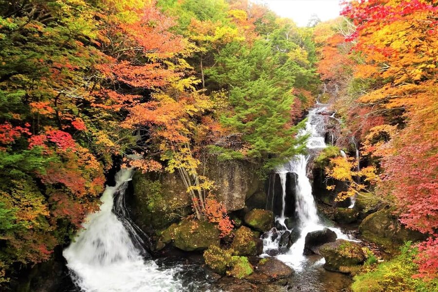 From Tokyo: Nikko World Heritage Site Private Full-Day Trip - Akechidaira gives you Nikko from above