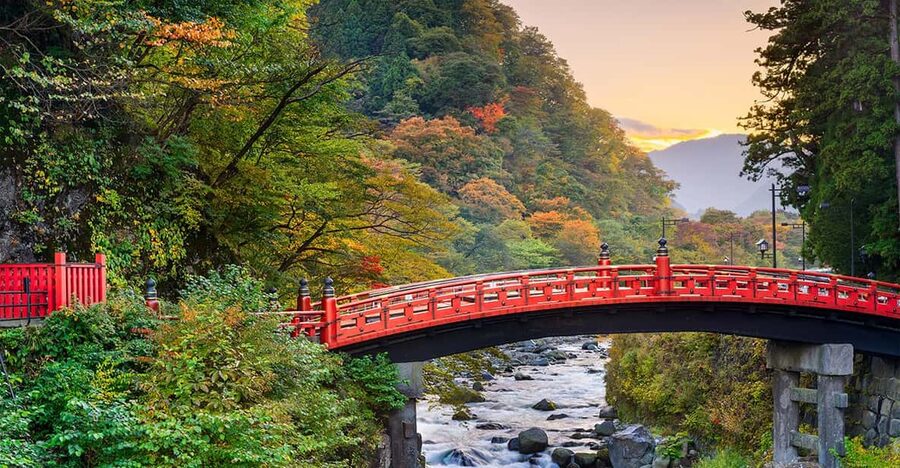 From Tokyo: Nikko World Heritage Site Private Full-Day Trip - Lunch, timing, and the packed schedule