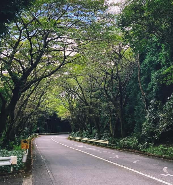 From Tokyo: Private JDM/Sports Car Tour to Mt Fuji & Hakone - Lake Ashi, Hakone Shrine, and a slower hour