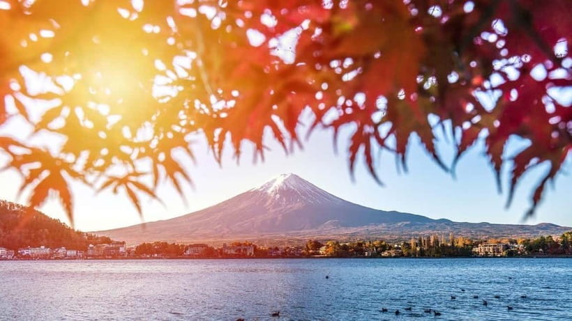 From Tokyo: Private Mt. Fuji and Hakone Tour by Car - Why a private car helps around Mt. Fuji and Hakone