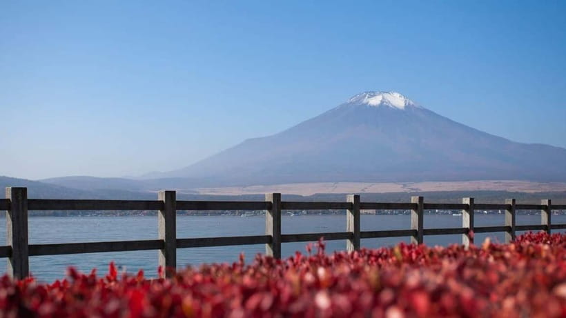 From Tokyo: Private Mt. Fuji and Hakone Tour by Car - Lunch in Hakone and the red torii gate