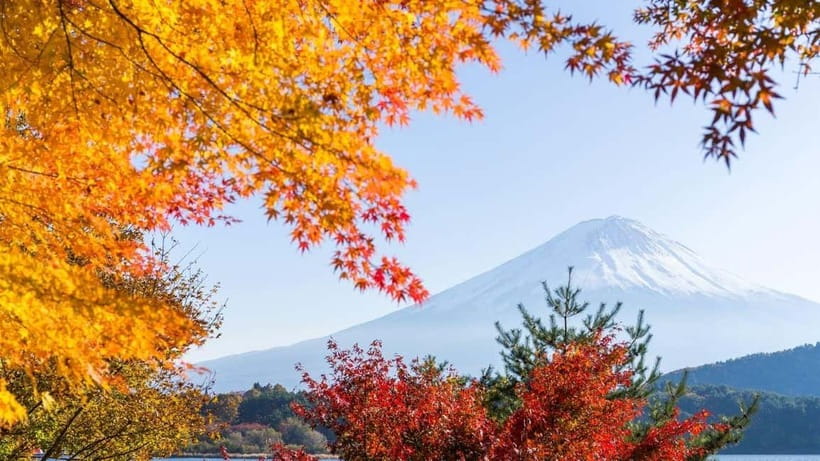 From Tokyo: Private Mt. Fuji and Hakone Tour by Car - The Hakone Open-Air Museum