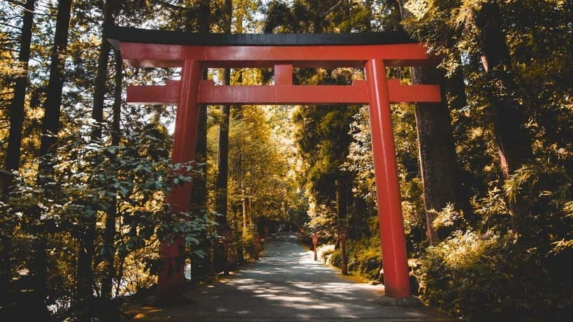 From Tokyo: Private Mt. Fuji and Hakone Tour by Car - Gotemba Premium Outlets and the cost of flexibility