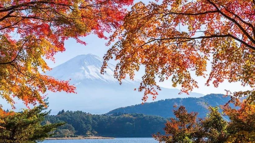 From Tokyo: Private Mt. Fuji and Hakone Tour by Car - The first big choice: Fuji’s 5th Station