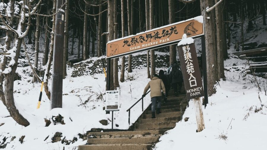 From Tokyo: Private Tour Snow Monkey Park & Zenko-ji Temple - Shibu Onsen, a traditional hot-spring town