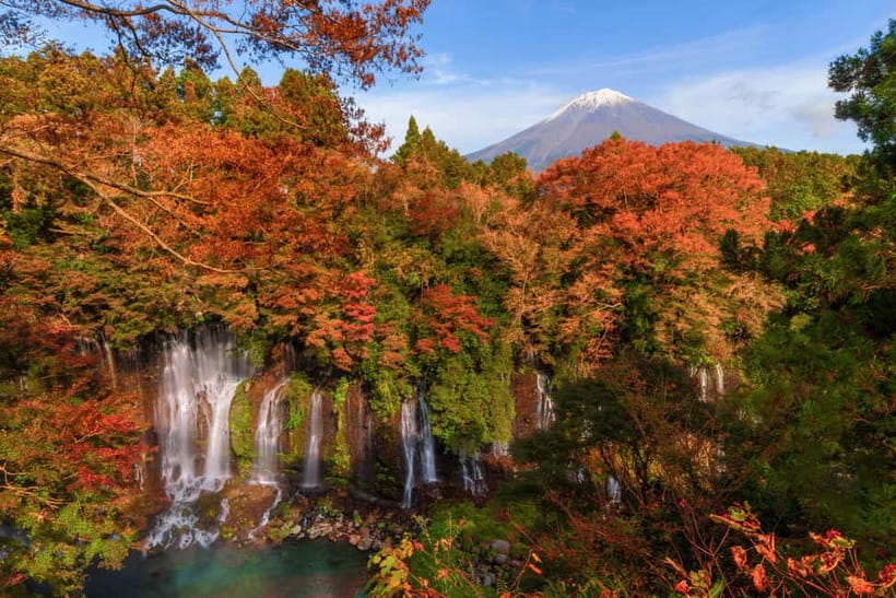 From Tokyo: Private Tour to Fuji/Hakone - Onsen, Art, Nature - Tenzan Onsen, lunch, and the Japanese bathing ritual