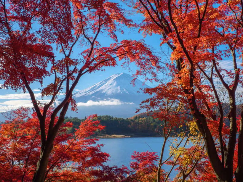 From Tokyo: Private Tour to Fuji/Hakone - Onsen, Art, Nature - Art among gardens at the Open-Air Museum