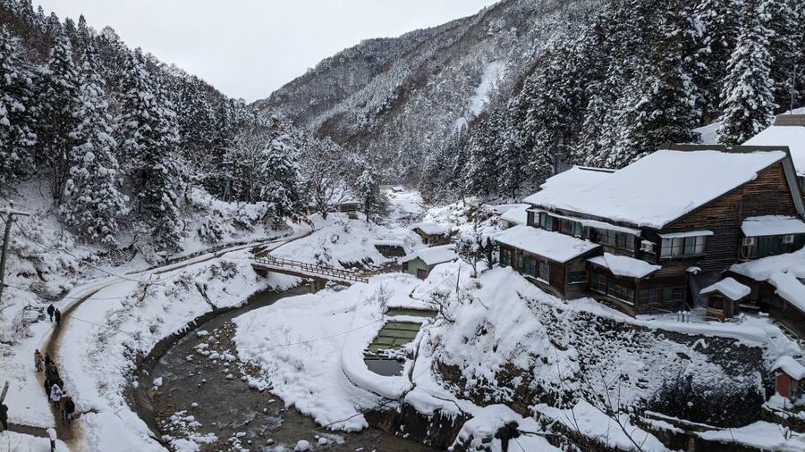From Tokyo: Snow Monkey 1 Day Tour with Beef Sukiyaki Lunch - Two hours with the monkeys
