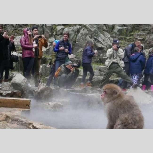 From Tokyo: Snow Monkey Park and Miso Production Day Tour - Matsushiro connects the scenery with Japan’s feudal past