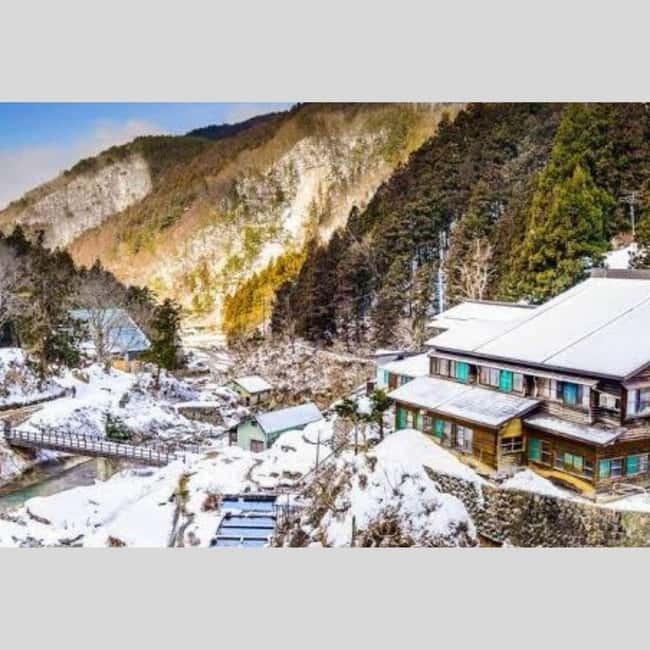 From Tokyo: Snow Monkey Park and Miso Production Day Tour - What the flexible itinerary really means