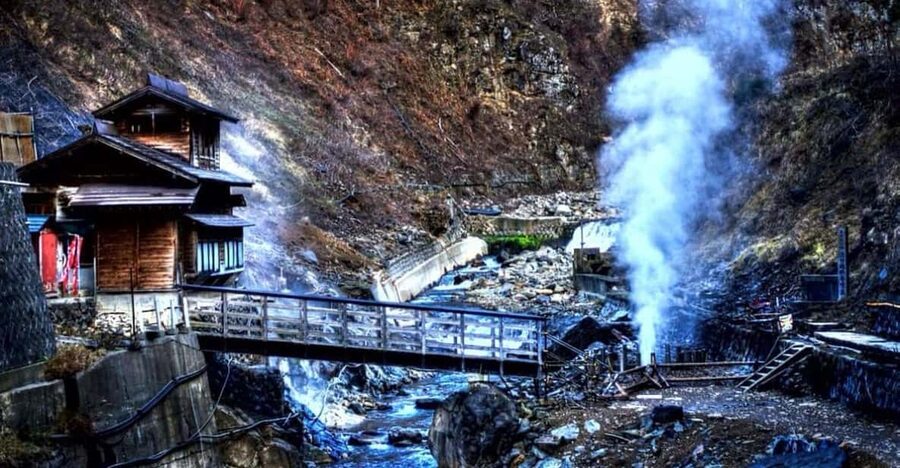 From Tokyo: Snow Monkey Private Customize Day Tour - Why the snow monkeys are worth the long ride