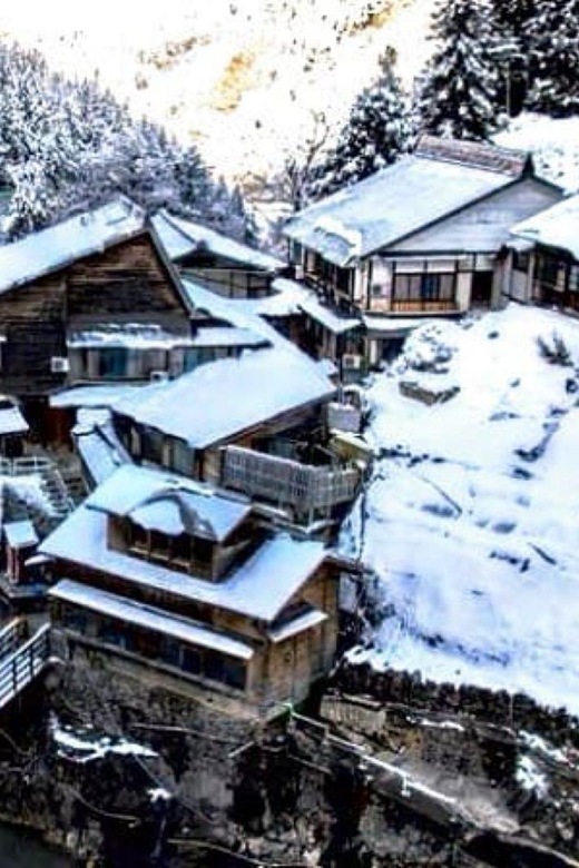 From Tokyo: Snow Monkey Private Customize Day Tour - Obuse for a slower town visit