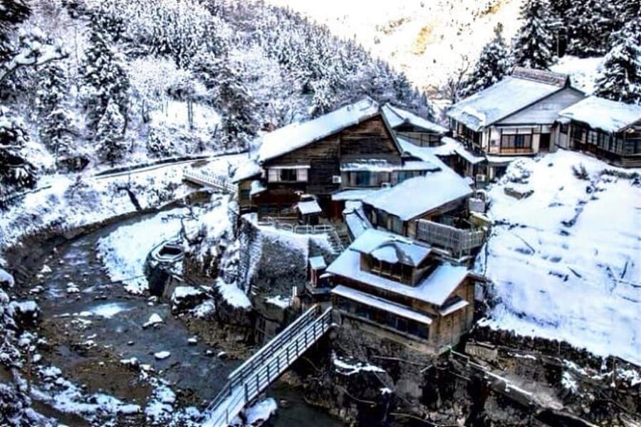 From Tokyo: Snow Monkey Private Customize Day Tour - What the driver adds to the day