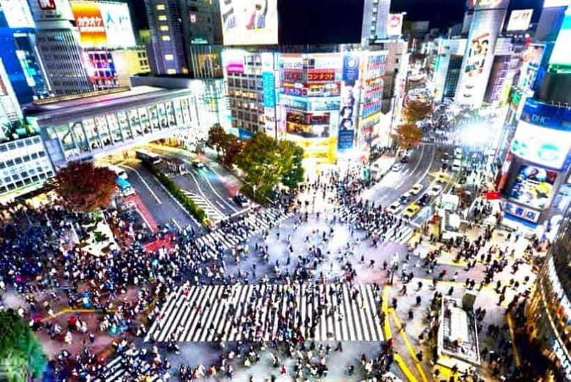 From Tokyo: Tokyo Private Customize Tour With English Driver - A private car changes the shape of a Tokyo day