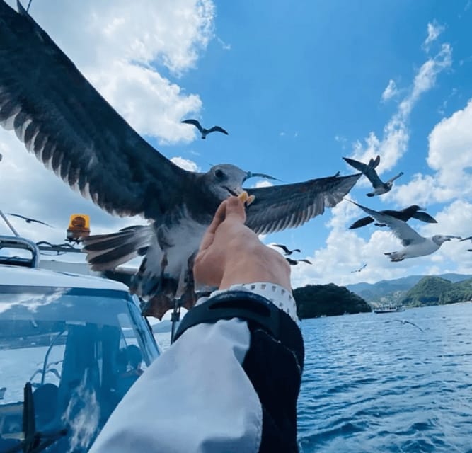 FromOsaka/Kyoto:Hiroshima & Miyajima Private Tour with Lunch - Why this Hiroshima day trip works