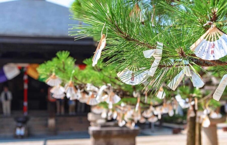 FromOsaka/Kyoto:Hiroshima & Miyajima Private Tour with Lunch - What the private format adds