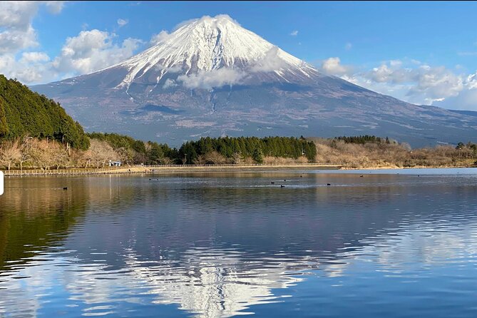 Fuji Highlights Group Car Tour by Shimizu Port with Local Guide - Key points to know before booking