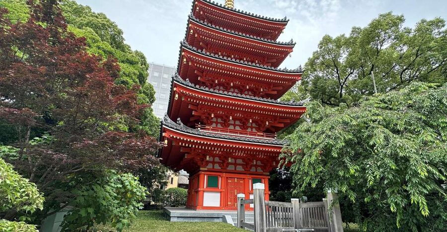 Fukuoka: Customized Private Tour - Temples, parks, and Fukuoka’s older side