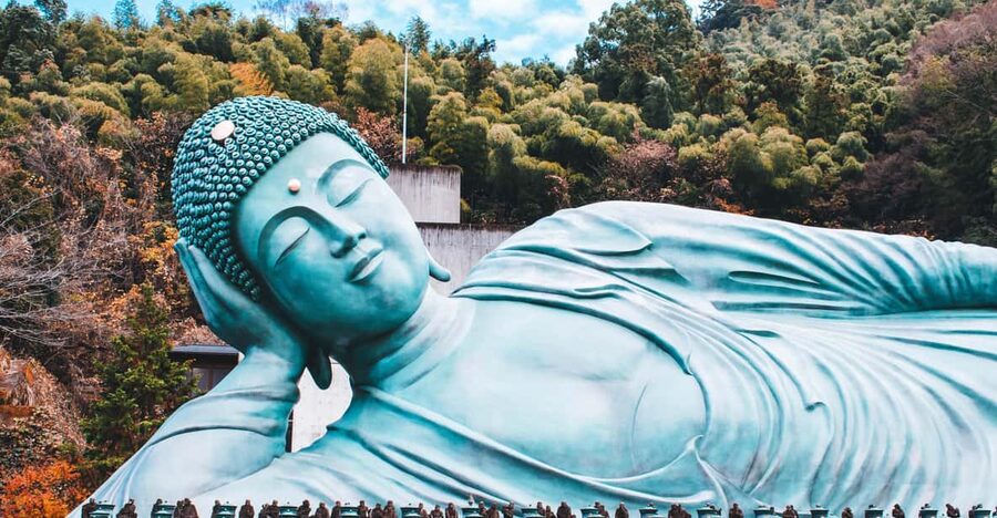 Fukuoka: Customized Tour with Local Guide - The Price: Good Value for the Right Kind of Visitor
