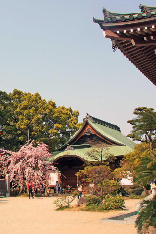Fukuoka Essentials: History, Culture, & Charms - Tochoji Adds a Famous Buddhist Landmark