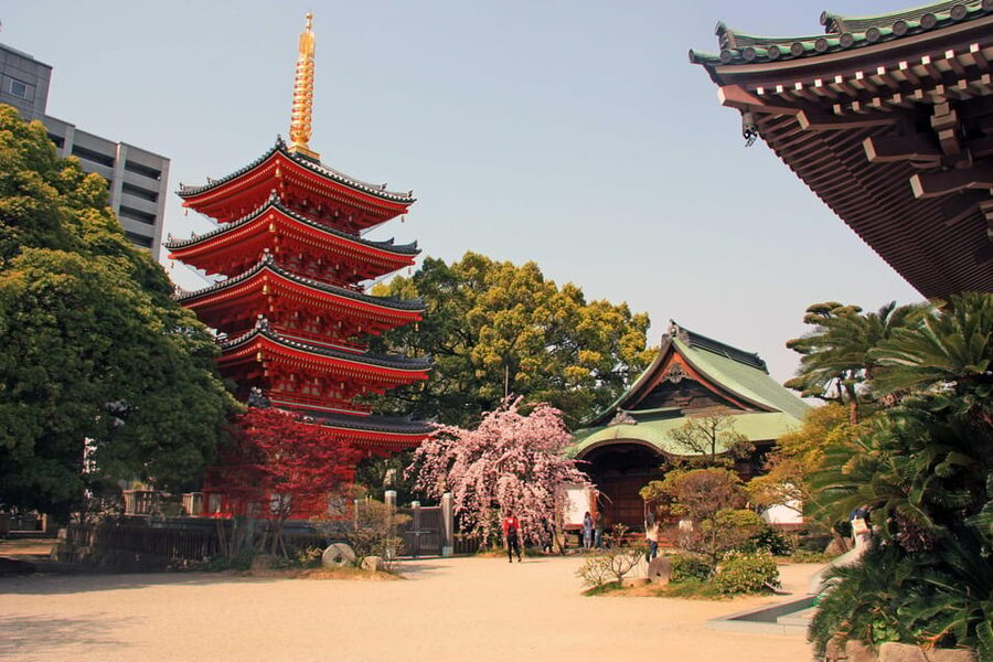 Fukuoka Essentials: History, Culture, & Charms - Why the Private Format Matters