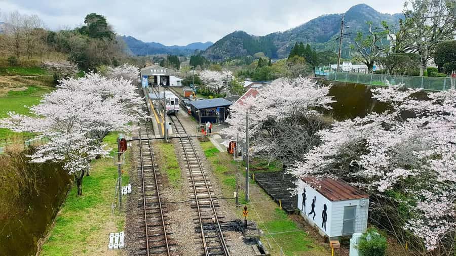 Fukuoka: Takachiho Gorge & Scenic Railway One Day Tour - Practical planning before you go