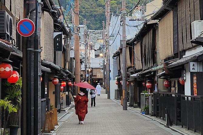 Full Day Guided Tour to Kyoto and Nara from Osaka by Van - The van ride and group size