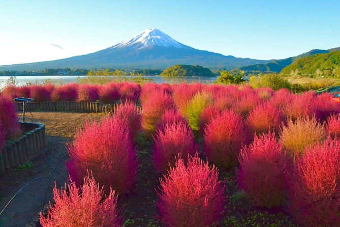 Full Day Tour to Mount Fuji in Spanish - Saiko Iyashi no Sato Nemba, a village rebuilt