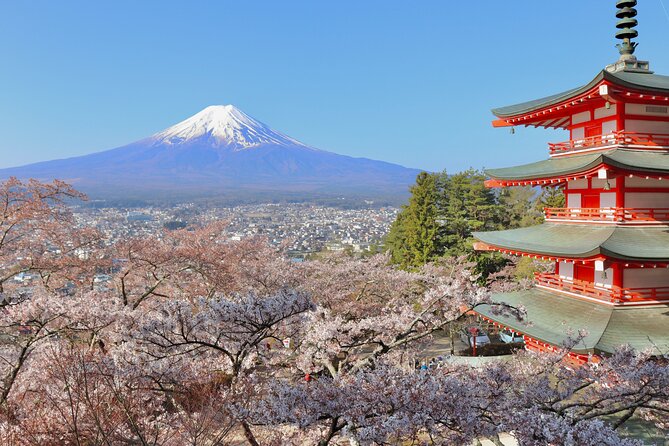 Full Day Tour to Mount Fuji in Spanish - Aokigahara Forest with a careful explanation